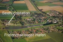 Die Seehundstation liegt direkt am Hafen